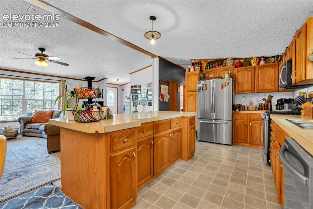 44 Silver Trail Florissant CO 80816