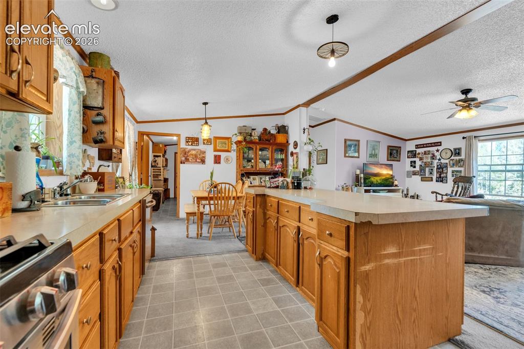 44 Silver Trail Florissant CO 80816