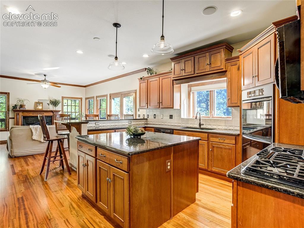 4660 Hagerman Avenue Cascade CO 80809