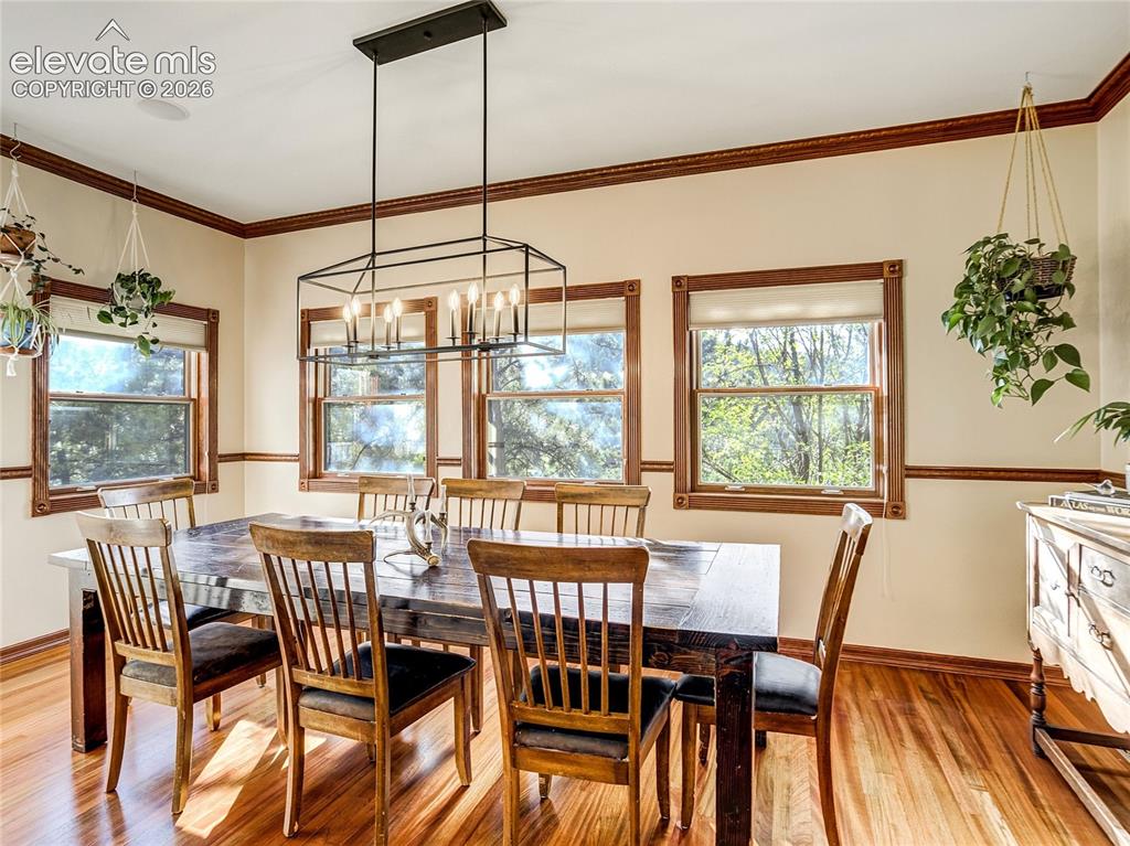 4660 Hagerman Avenue Cascade CO 80809