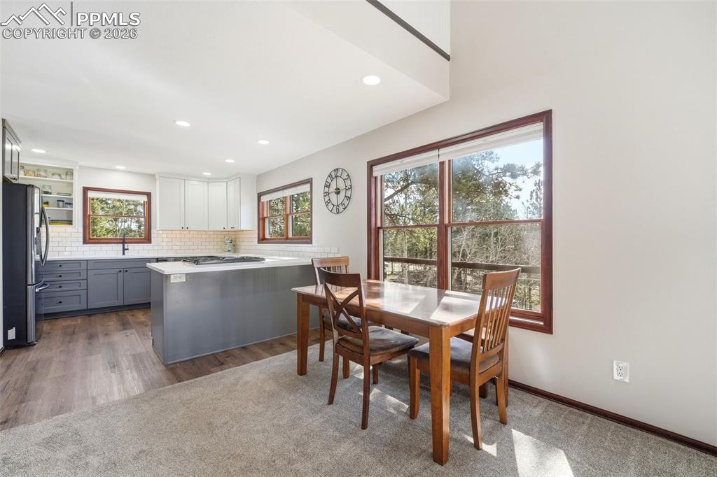 164 Aspen Circle Divide CO 80814