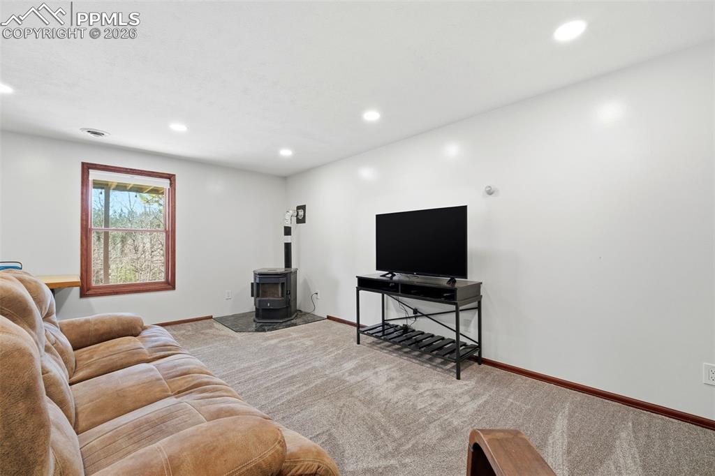 164 Aspen Circle Divide CO 80814
