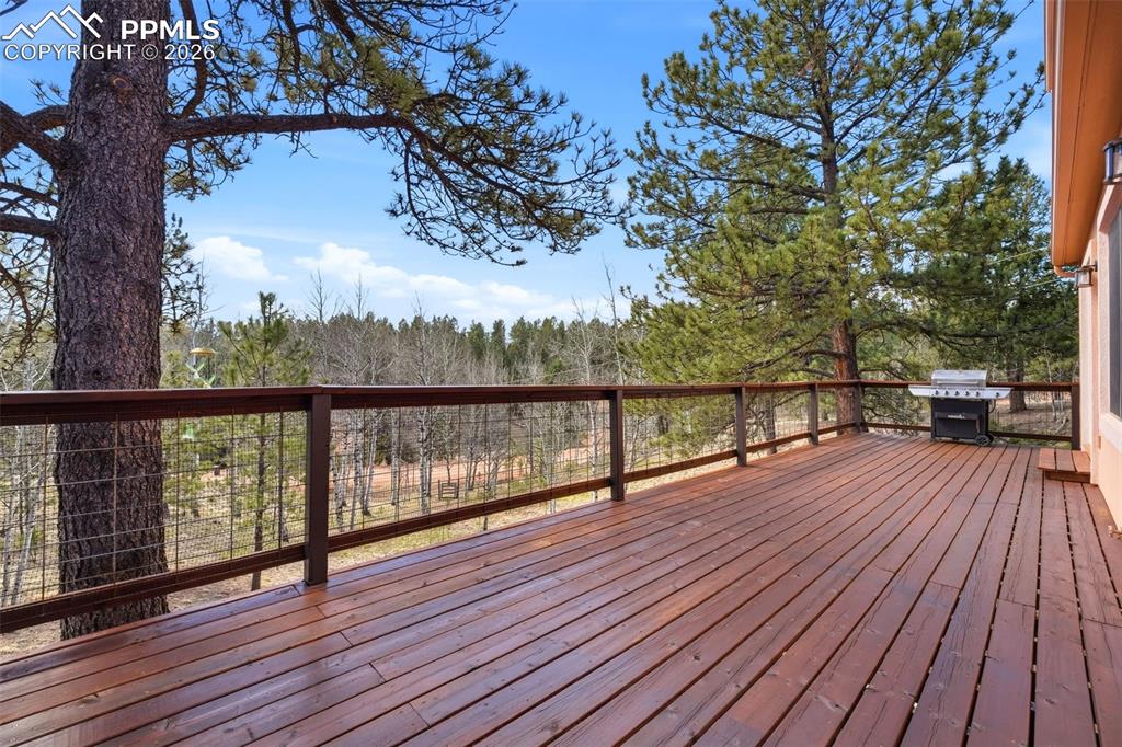 164 Aspen Circle Divide CO 80814