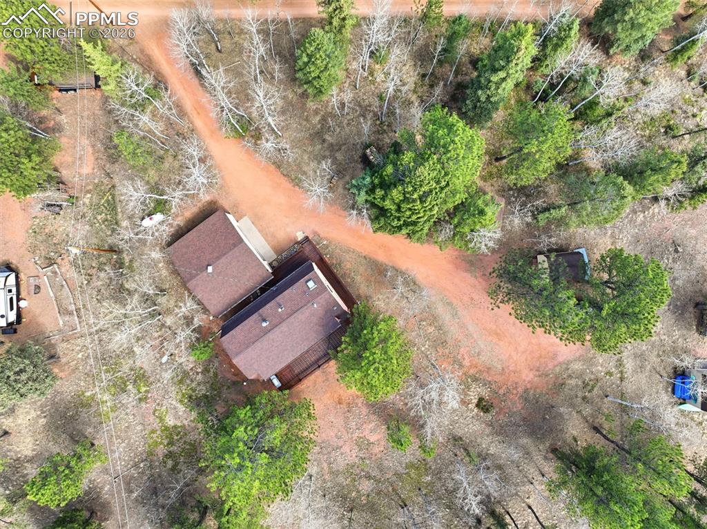 164 Aspen Circle Divide CO 80814