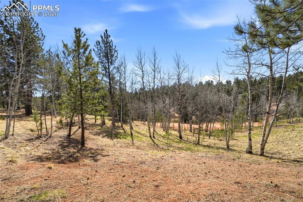164 Aspen Circle Divide CO 80814