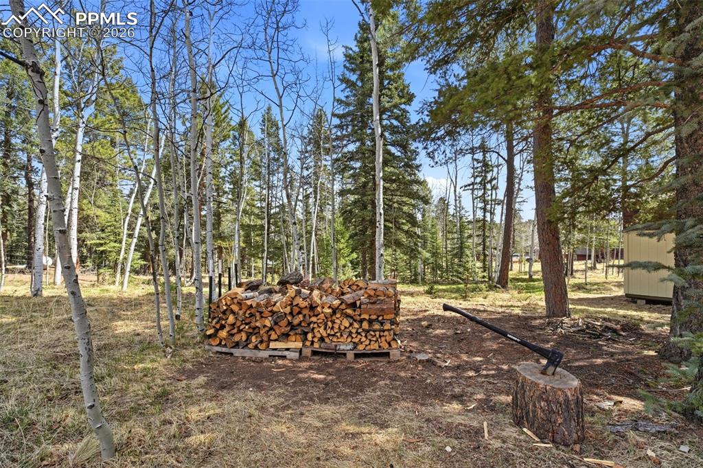 164 Aspen Circle Divide CO 80814