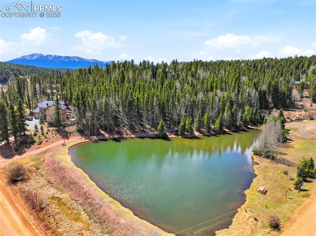 164 Aspen Circle Divide CO 80814