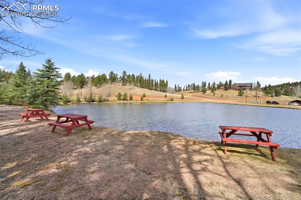 164 Aspen Circle Divide CO 80814