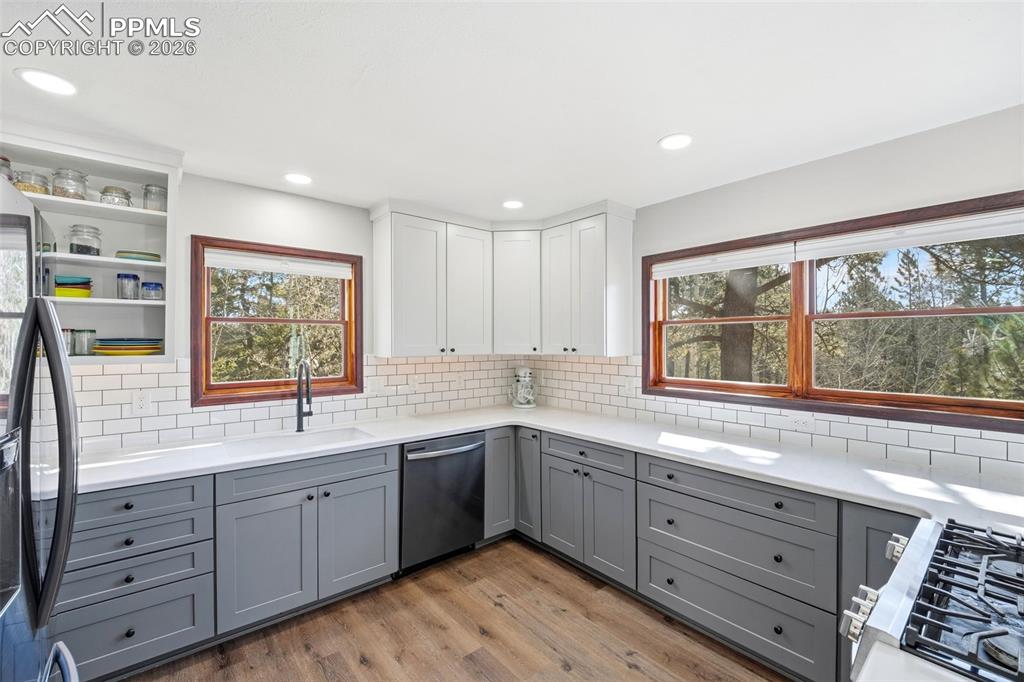 164 Aspen Circle Divide CO 80814