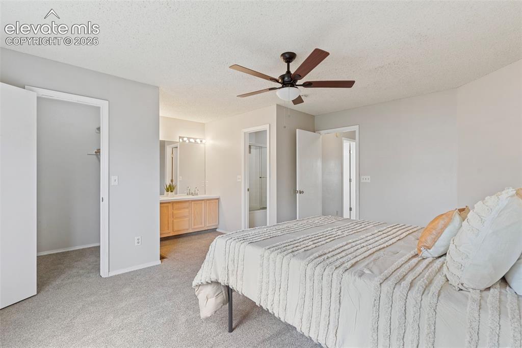 1377 Grass Valley Drive Colorado Springs CO 80906