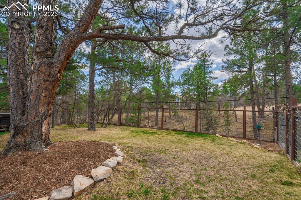 2405 Constellation Drive Colorado Springs CO 80906
