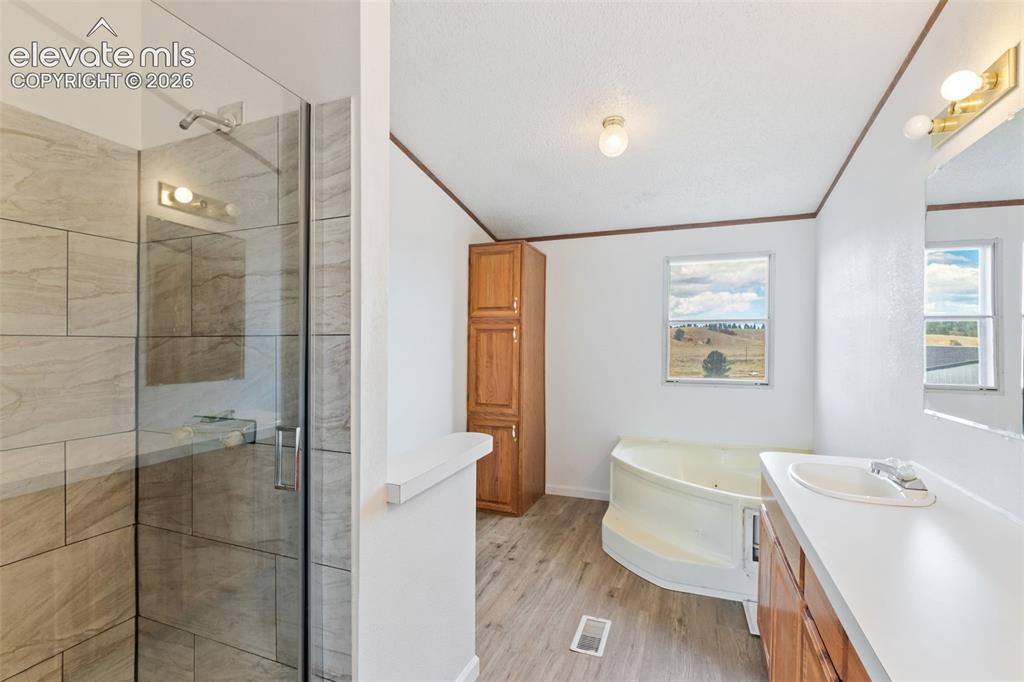85 Aspen Drive Divide CO 80814