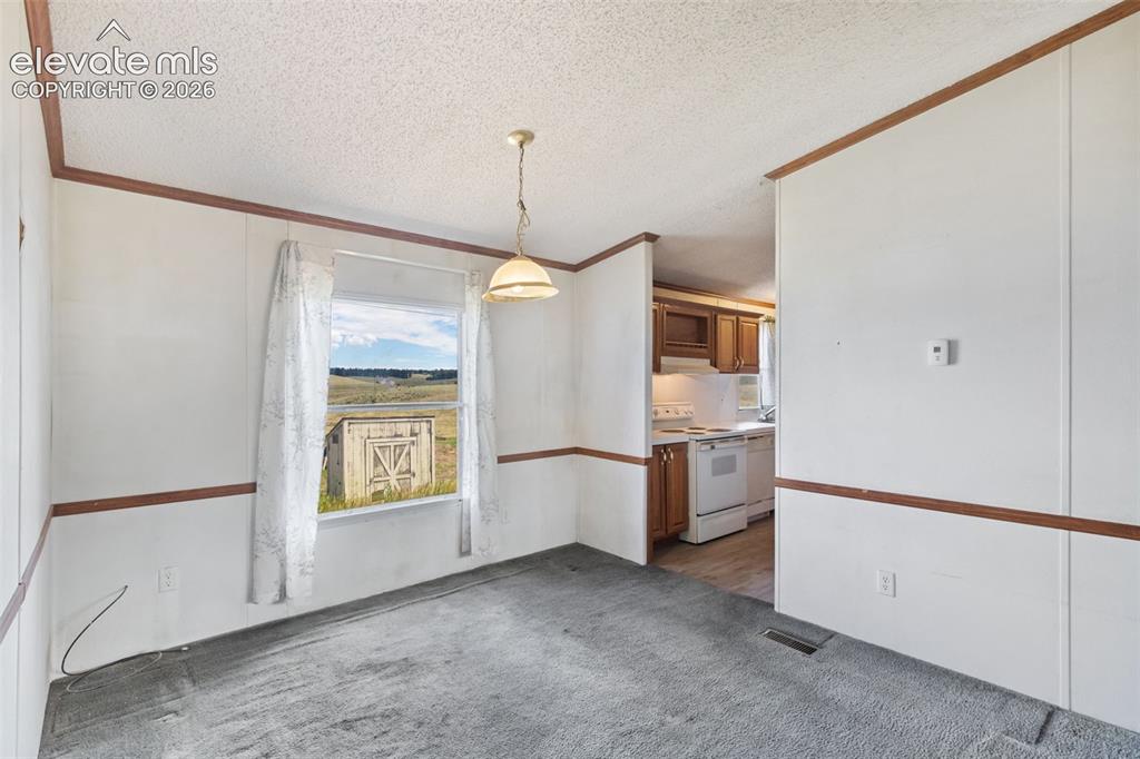 85 Aspen Drive Divide CO 80814