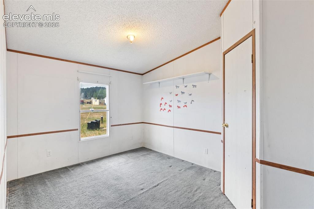 85 Aspen Drive Divide CO 80814