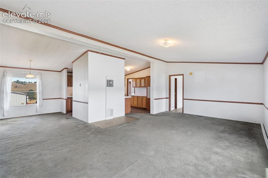 85 Aspen Drive Divide CO 80814
