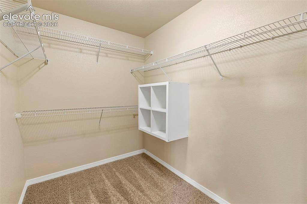 7794 Landover Lane Fountain CO 80817