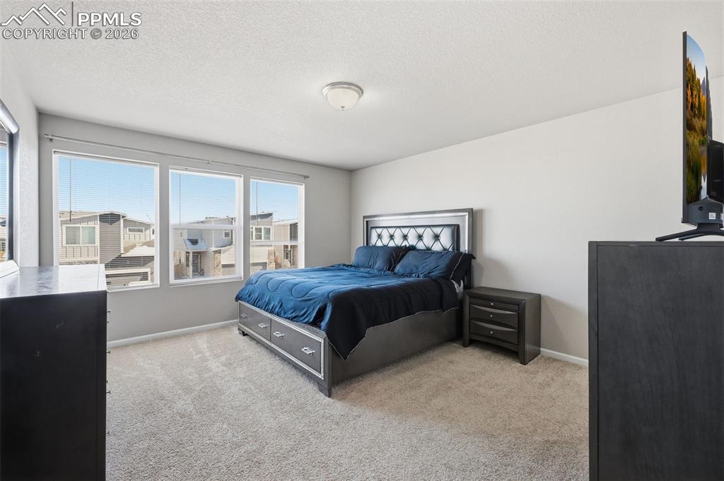 11461 Wigeon Way Colorado Springs CO 80925