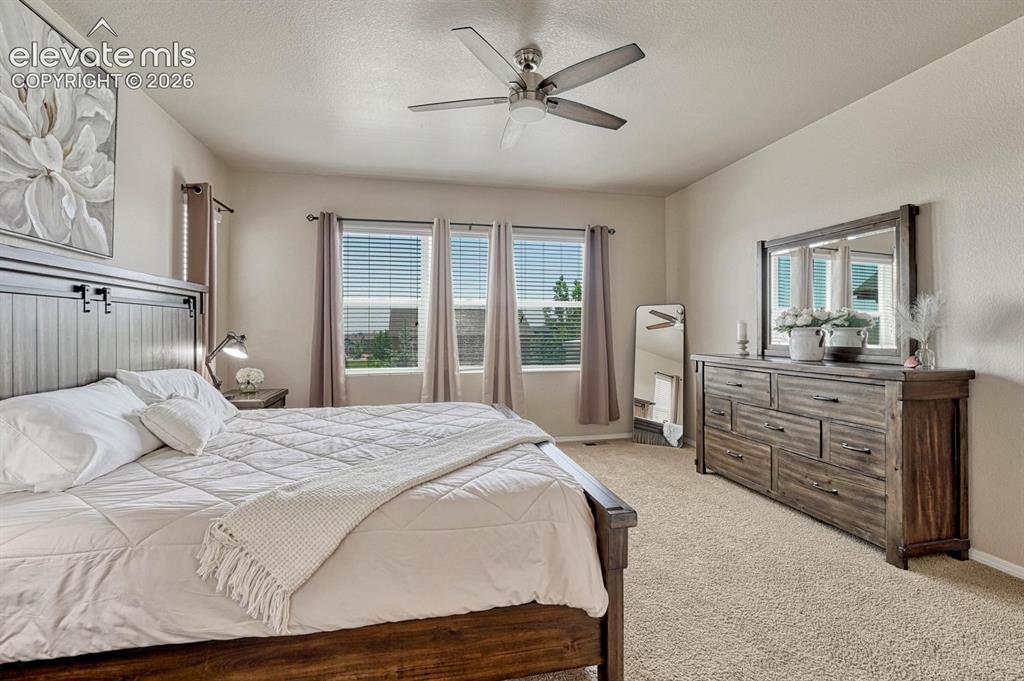 6049 Traditions Drive Colorado Springs CO 80924
