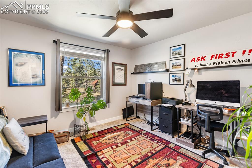 118 E Chester Avenue Woodland Park CO 80863