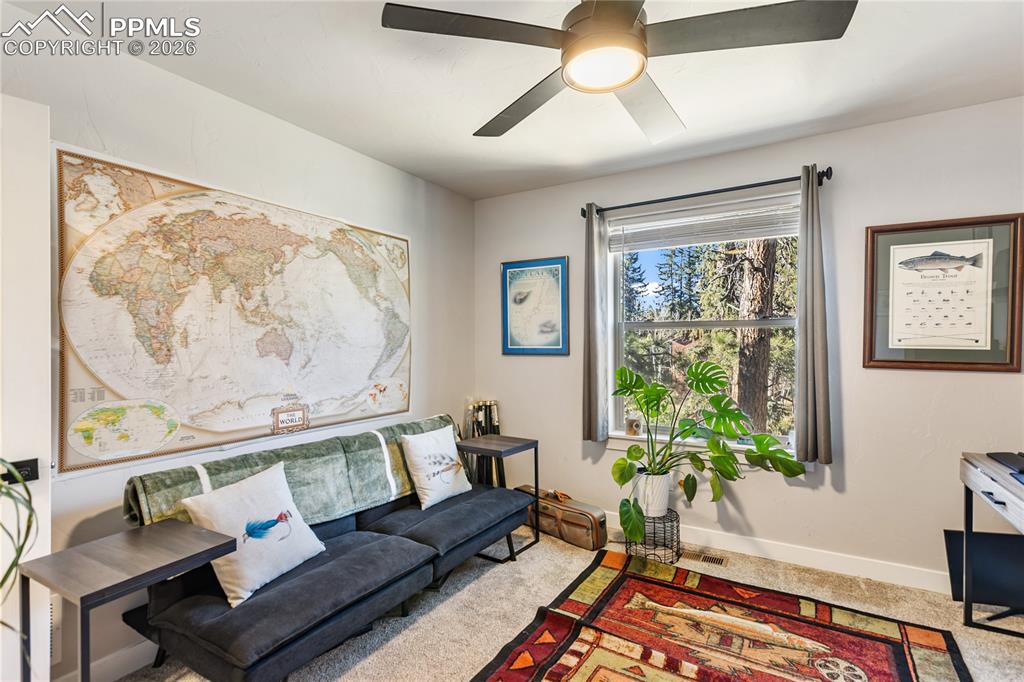 118 E Chester Avenue Woodland Park CO 80863