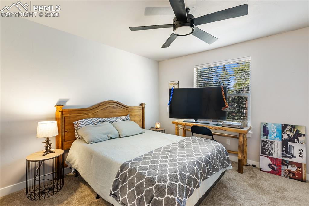 118 E Chester Avenue Woodland Park CO 80863