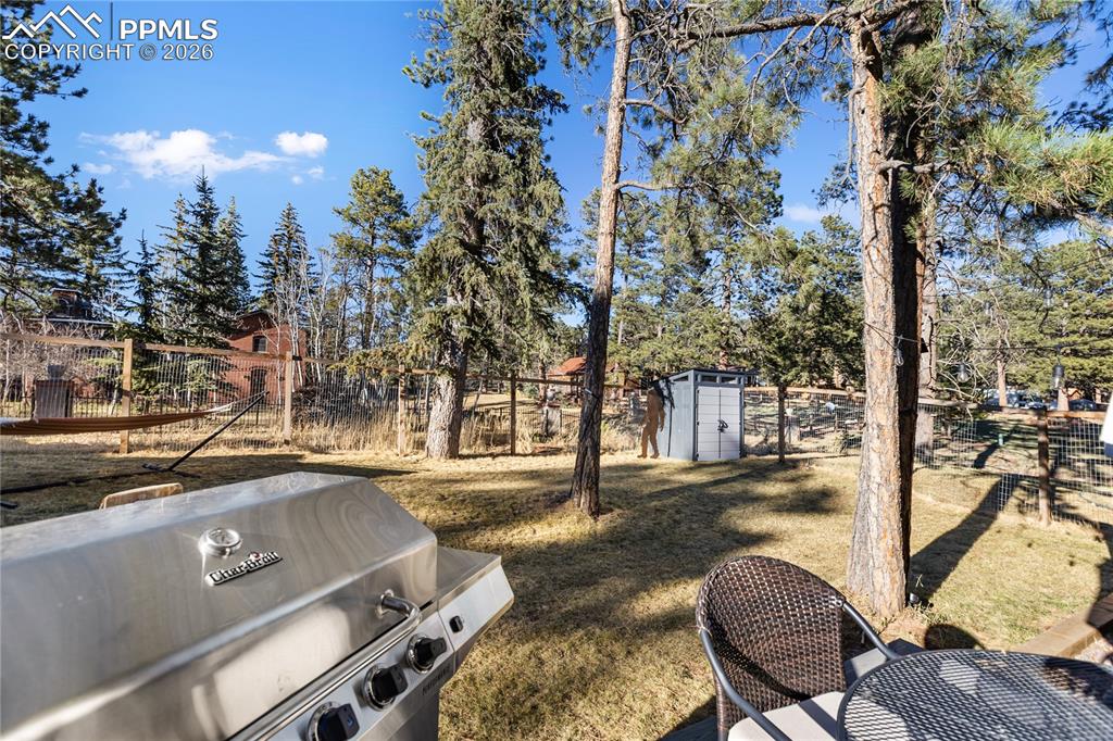 118 E Chester Avenue Woodland Park CO 80863