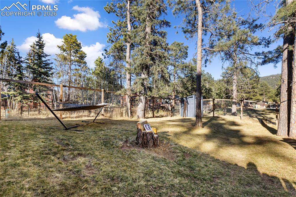 118 E Chester Avenue Woodland Park CO 80863