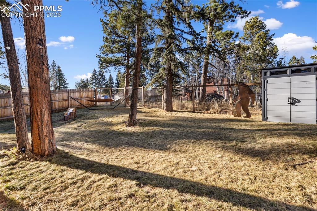 118 E Chester Avenue Woodland Park CO 80863