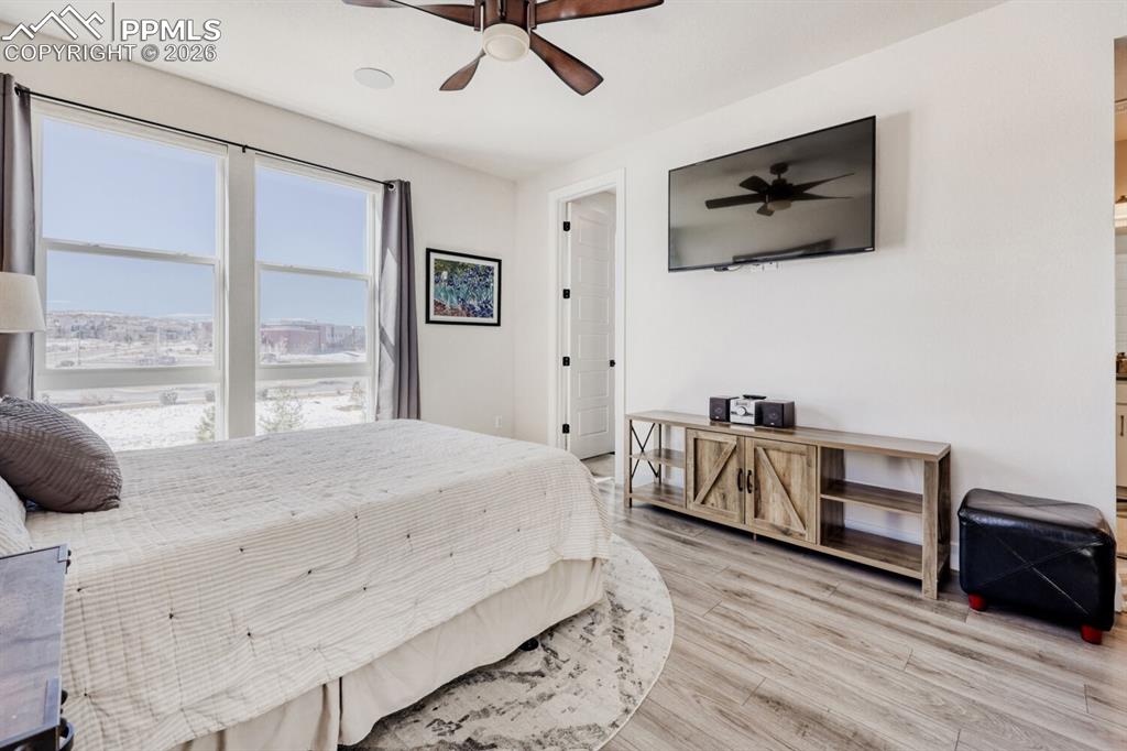 3477 Mykonos Drive Castle Rock CO 80109