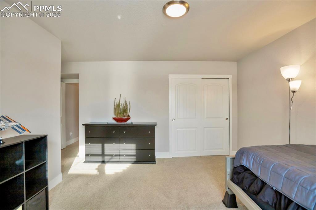 10301 Green Lake Court Colorado Springs CO 80924