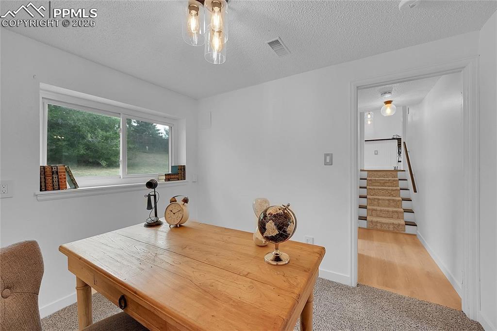 239 Tanna Court Colorado Springs CO 80916