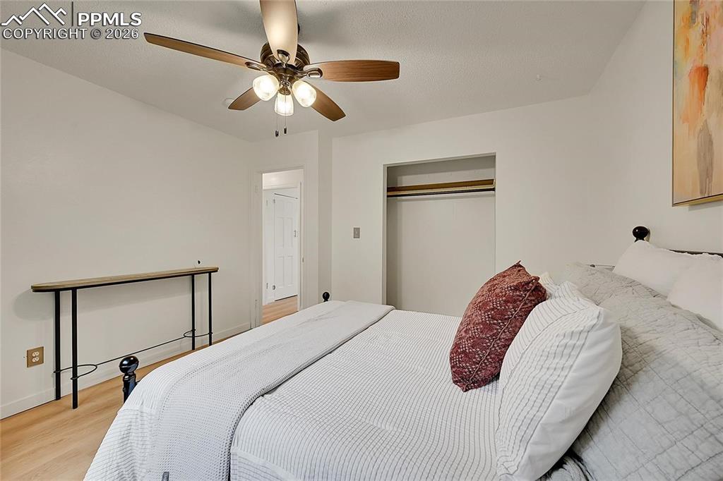 239 Tanna Court Colorado Springs CO 80916