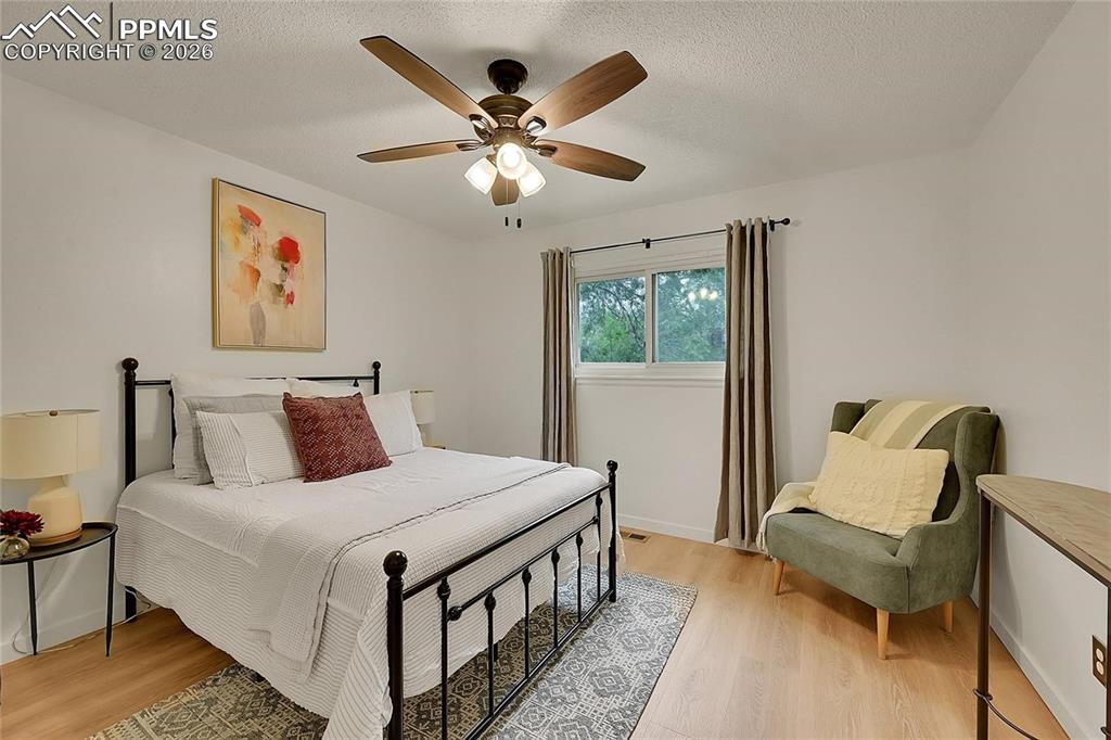 239 Tanna Court Colorado Springs CO 80916