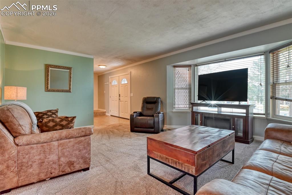 7410 Hickorywood Drive Colorado Springs CO 80920