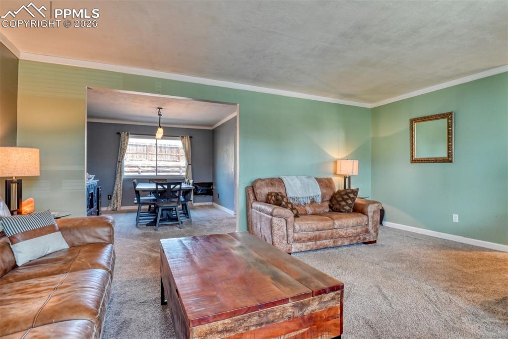 7410 Hickorywood Drive Colorado Springs CO 80920