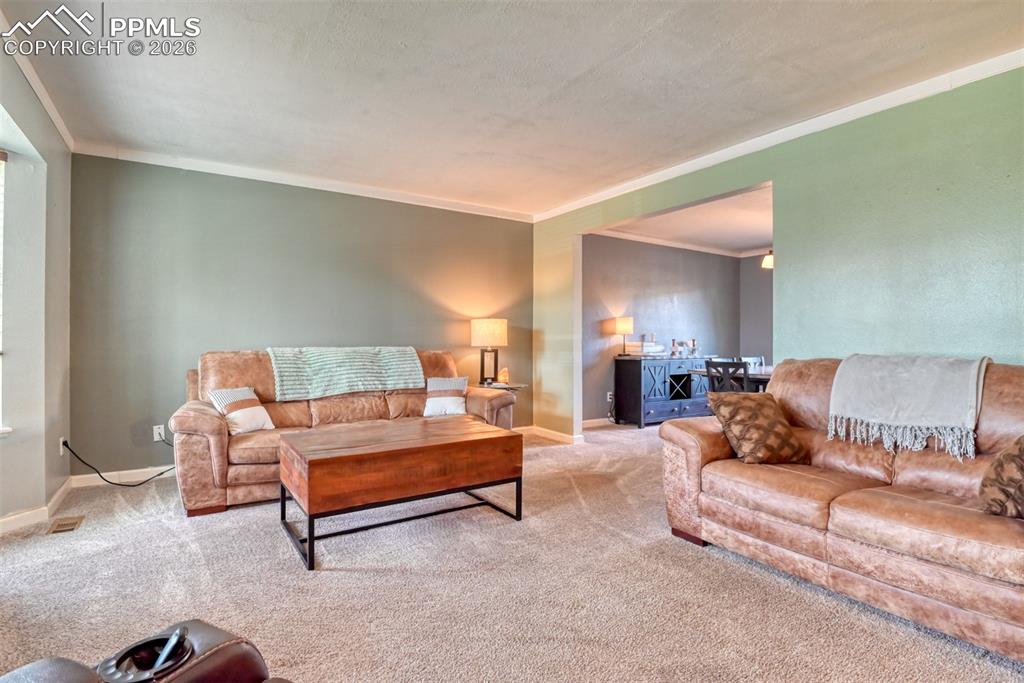 7410 Hickorywood Drive Colorado Springs CO 80920