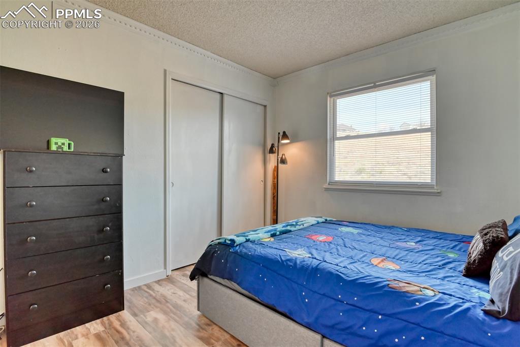 7410 Hickorywood Drive Colorado Springs CO 80920