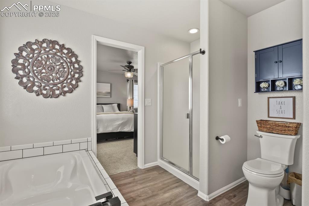 9409 Portmarnock Court Peyton CO 80831
