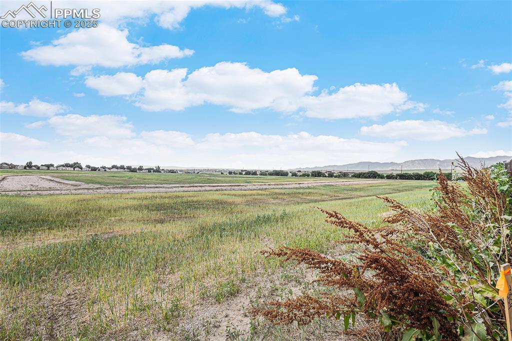 9455 Sand Myrtle Drive Colorado Springs CO 80925