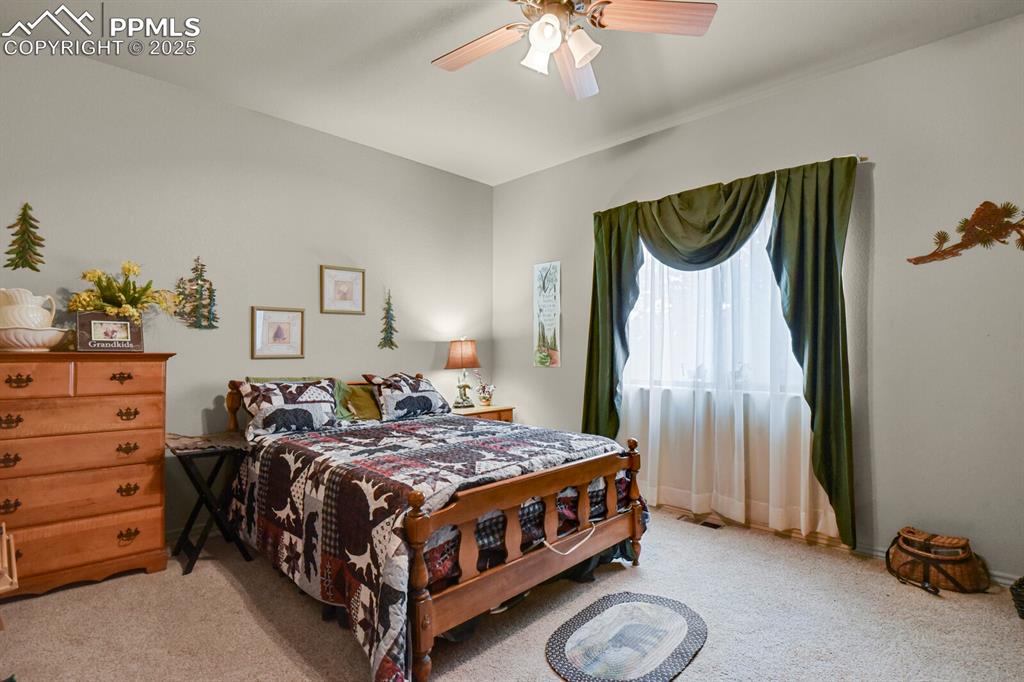 9 Kingston Circle Florissant CO 80816