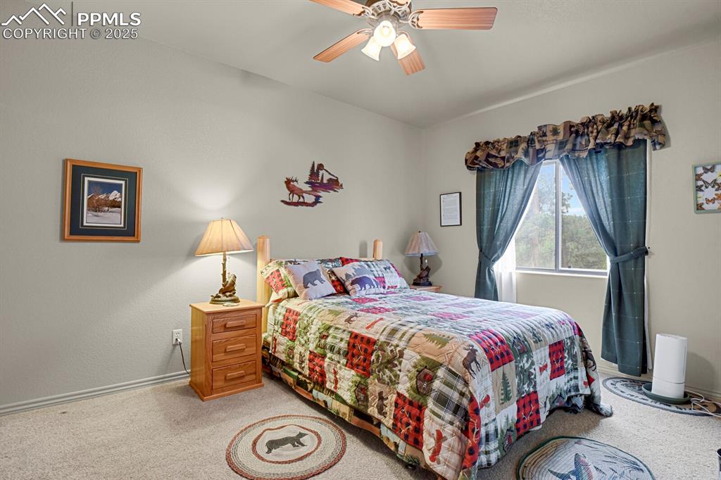 9 Kingston Circle Florissant CO 80816