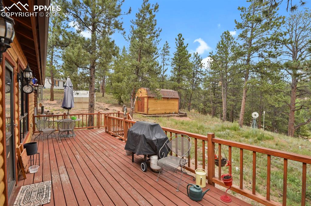 9 Kingston Circle Florissant CO 80816