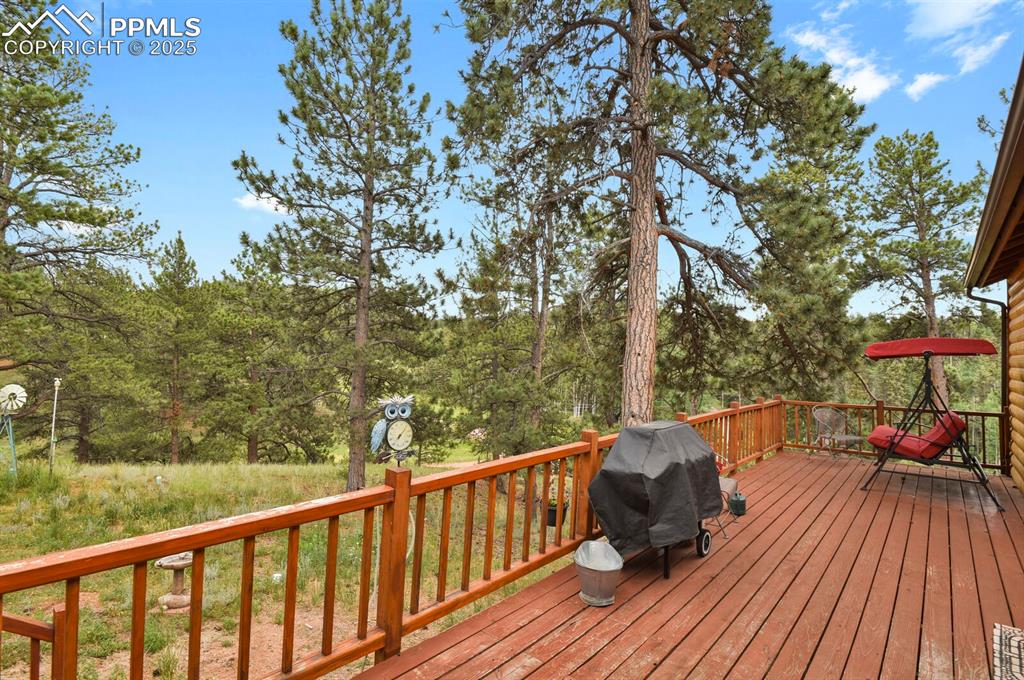 9 Kingston Circle Florissant CO 80816