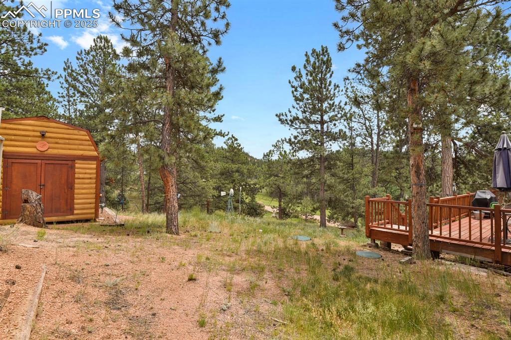 9 Kingston Circle Florissant CO 80816