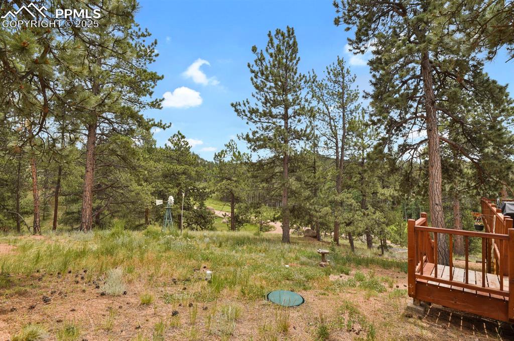 9 Kingston Circle Florissant CO 80816