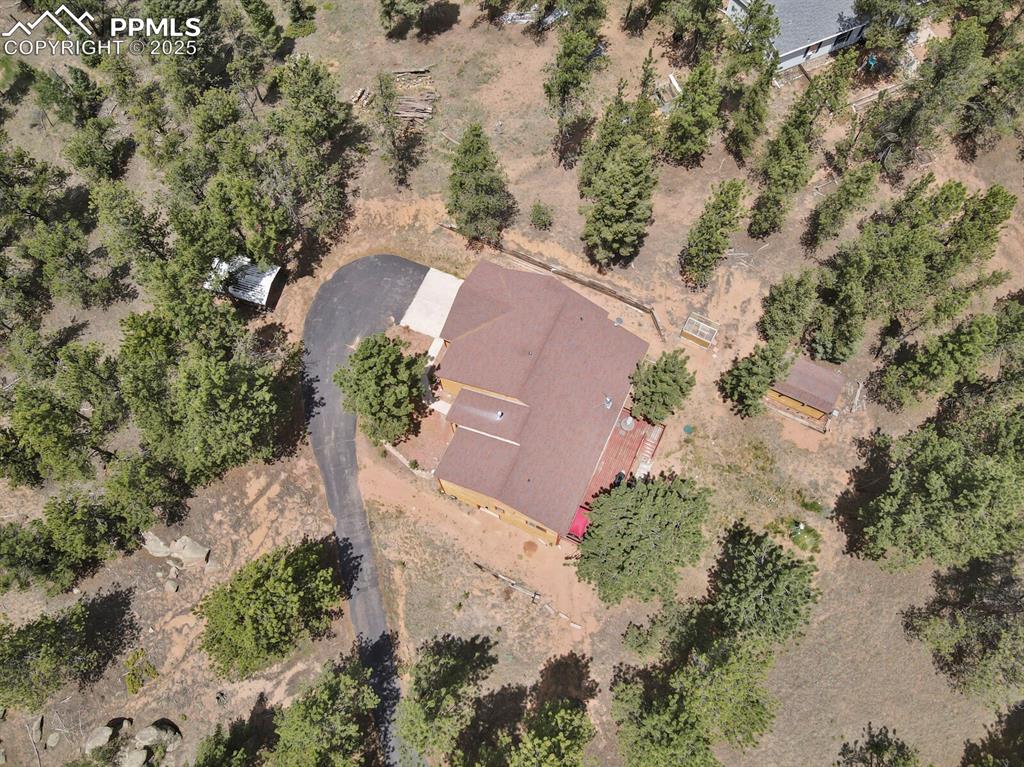 9 Kingston Circle Florissant CO 80816