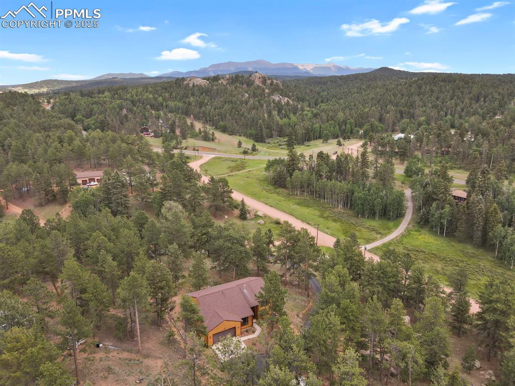 9 Kingston Circle Florissant CO 80816