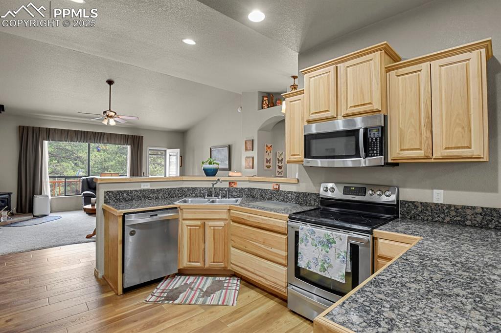 9 Kingston Circle Florissant CO 80816