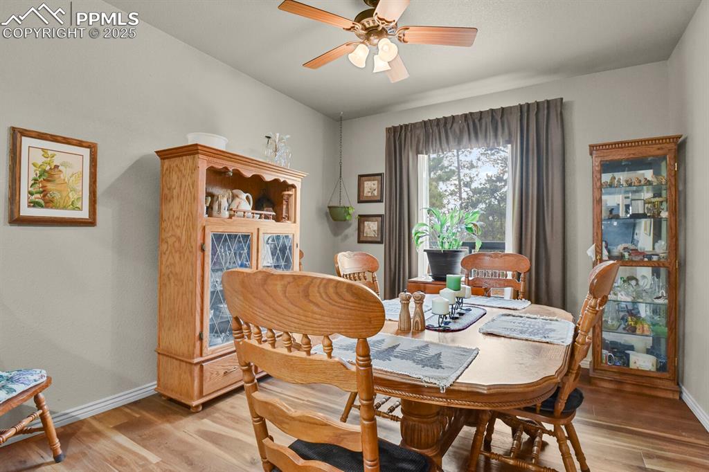 9 Kingston Circle Florissant CO 80816