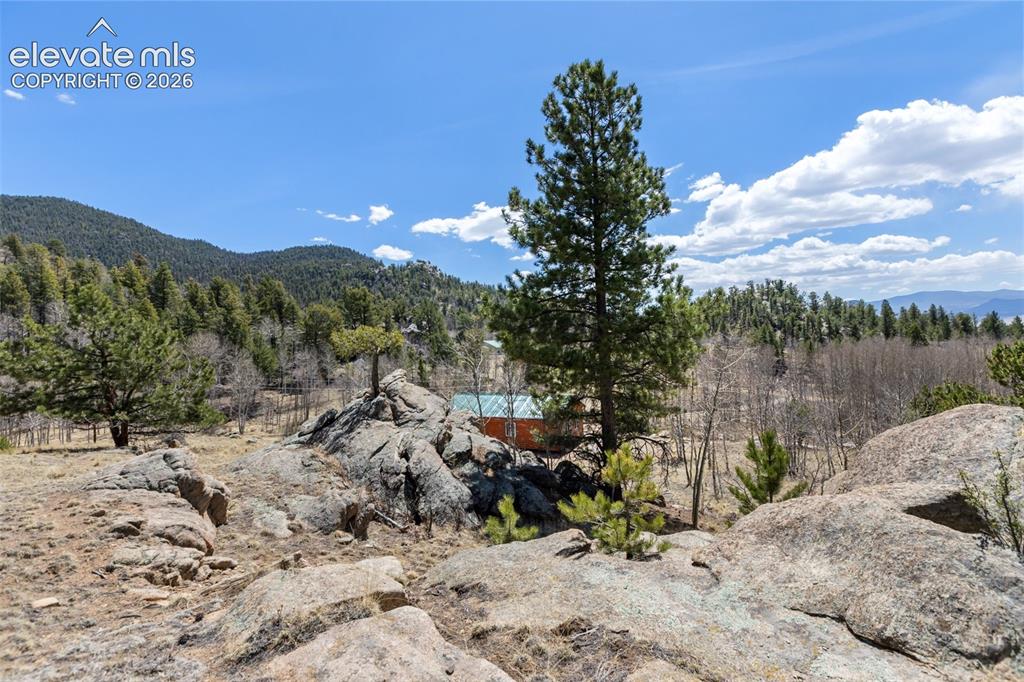 61 Garnet Lane Lake George CO 80827